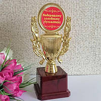 Кубок-Награда Бухгалтеру "Найкращому Головному Бухгалтеру" (надпись можно изменить)