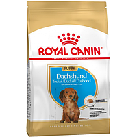 Сухой корм Royal Canin Dachshund Junior для щенков таксы 1,5 кг