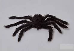 Павук чорний 30см декор на Хеллоуїн