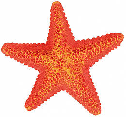 Декорація Trixie Assortment Starfish для акваріума морські зірки, поліефірна смола, 12 шт