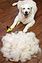 Фурминатор для собак з довгою шерстю FURminator Large Dog, фото 4
