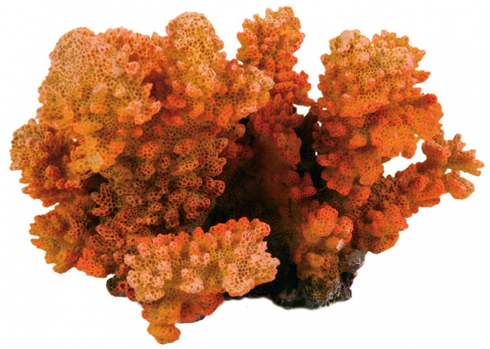 Гр корал Trixie Coral Branch для акваріума декоративний, 12 см