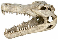 Декорация Trixie Crocodile Skull для аквариума, полиэфирная смола, 14 см