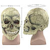 Латексна маска BoCool Skull - ЧЕРЕП, фото 5