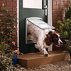 Дверцята Staywell Original для собак великих порід, 456х386мм коричнева, фото 3