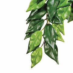 Рослина шовкове Hagen Ficus середнє (РТ3040)