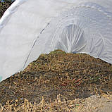 Парник первоцвіт з агроволокна Agreen 10 м 42 гр/м2 для розсади і врожаю, фото 2