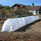 Парник первоцвіт з агроволокна Agreen 15 м 50 гр/м2 для розсади і врожаю, фото 3