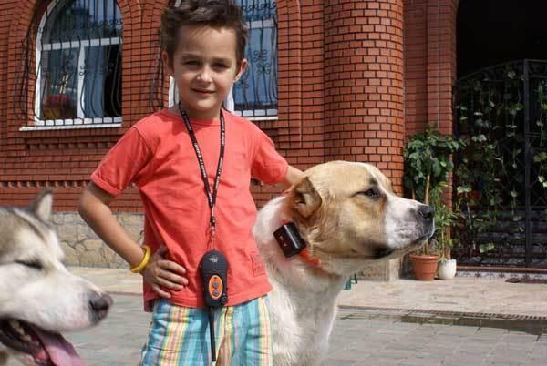 история изобретения электронного ошейника