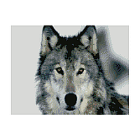 Алмазная мозаика «Хороший волк», 30х40 см