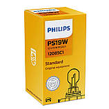 PS19W
