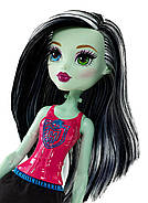 Лялька Монстер Хай Френкі Штейн Командний Дух Бюджетна Monster High Ghoul Spirit Frankie Stein Doll, фото 4