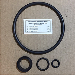 Ремкомплект циліндра закрепу борта МАЗ 503А-8505310 РК