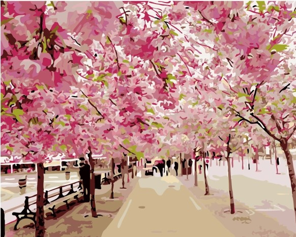 Картина по номерам "Цветущая сакура" 40*50 см  картина для рисования Номерные раскраски Полный Набор
