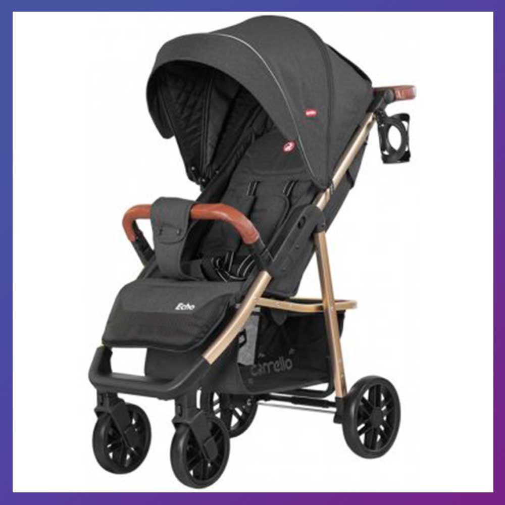 Дитяча прогулянкова коляска - книжка з регульованою спинкою CARRELLO Echo CRL-8508/1 Midnight Gray темно-сіра