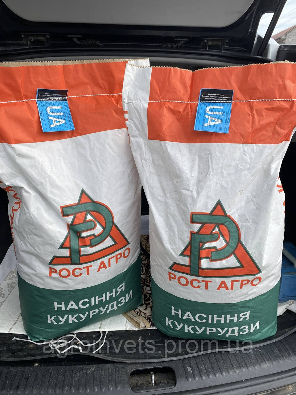 Кукурудза Хотин (ФАО-280) Зріст Агро "Максим XL+Вайбранс" 2022