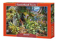 Настольная игра Castorland puzzle Пазл Лесная поляна, 2000 эл. (C-200764)