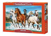 Castorland puzzle Пазл Ведмедики, що бігають, 2000 ел. (C-200702)