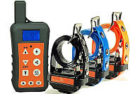 Руководство по выбору ошейника из нашего ассортимента