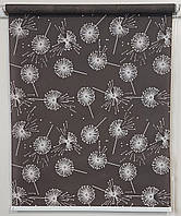 Рулонна штора Кульбаби Графіт