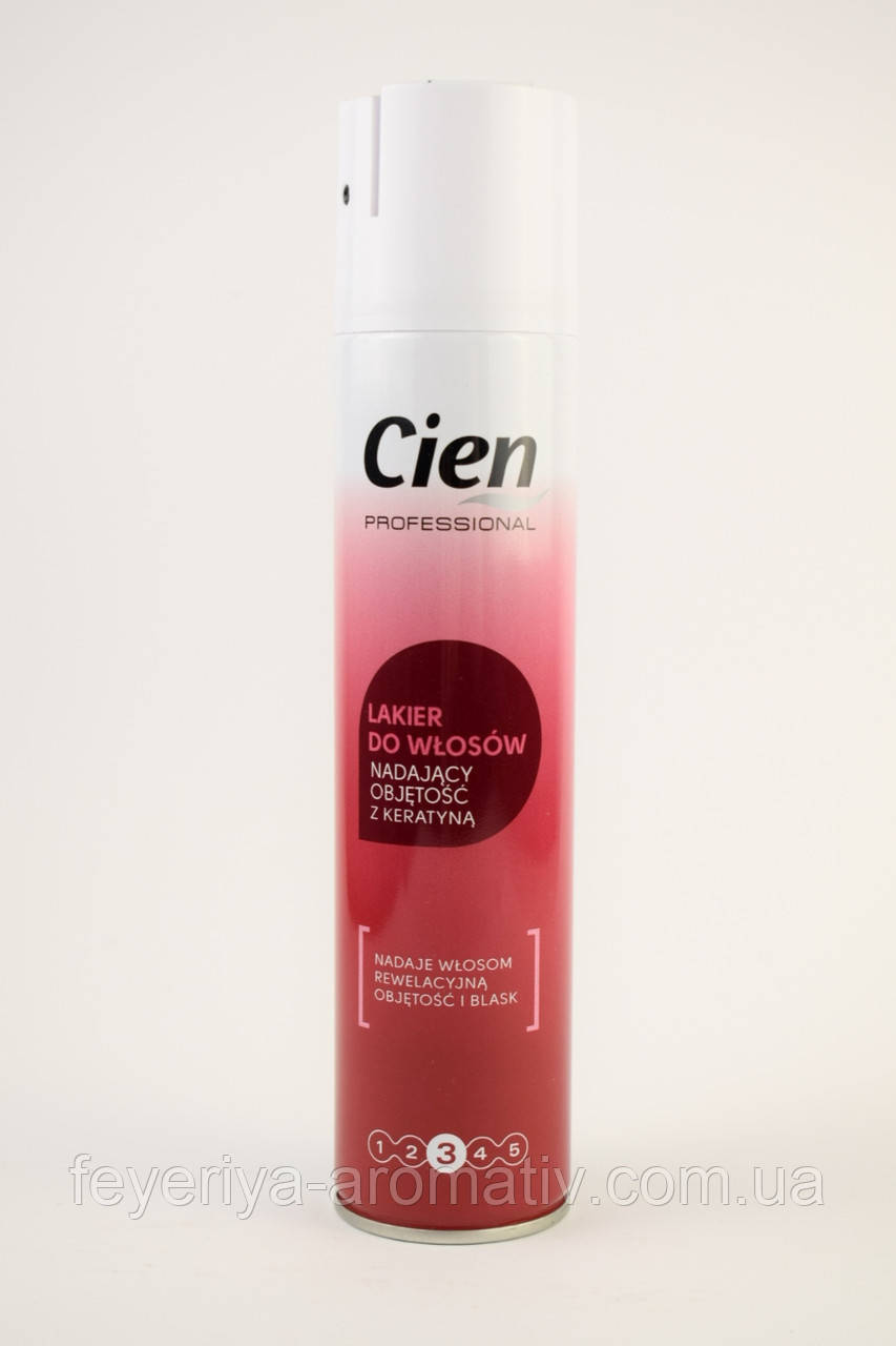 Лак для волосся Cien Professional 250 мл Польща