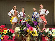 Вишиванки для дітей, вишиті костюми