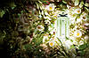 Gucci Flora by Gucci Gracious Tuberose туалетная вода 100 ml. (Гуччі Флора Бай Гуччі Грація Тубероза), фото 7