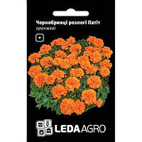 Семена бархатцы Патит оранжевые LedaAgro 0.25г