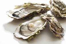 Устриці українські №3 (мінімальне замовлення 36шт)