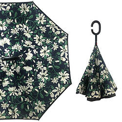 Парасольки