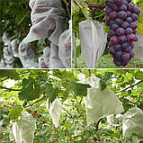 Захисний мішок для винограду диаметром 19 см (30*38см) з агроволокна, фото 2