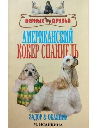 Американський кокер-спаніель. Задор і чарівність. Ісайкіна М., фото 2