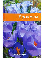 Крокусы. Чекурова Г., Озерова С.