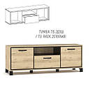 Тумба під ТВ з ДСП у вітальню Велс 2Д1Ш Мебель Сервіс, фото 2