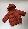 Куртка дитяча демісезонна теракотового кольору Primark р.74см, фото 2