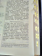 Укр. Біблія настільна в бордовій коробці, великий шрифт, Огієнко (чорна, шкіряна, тверда, золото, індекси, без застібки, 21х30), фото 3
