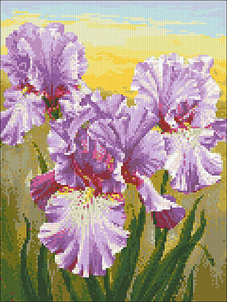 АМС-125 Набір діамантової мозаїки 30х40 Іриси, Ні, фото 1