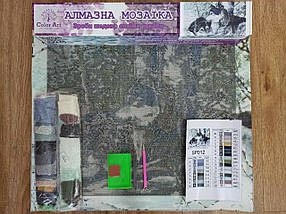 SP012 Набір діамантової мозаїки 40х50 Вовки на снігу, Ні, фото 5