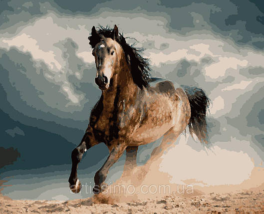 PNX4340 Картини за номерами Кінь у яблуках 50*60см, фото 2