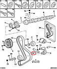 Натягувач ремня ГРМ Fiat Ducato 244, Peugeot Boxer 2, Citroen Jumper 2 (2002-2006) 2.8, 4279745, 082965, фото 5