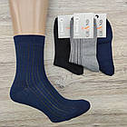 Шкарпетки чоловічі високі весна/осінь асорті рубчик р.25 GRAND 30034934, фото 5