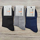 Шкарпетки чоловічі високі весна/осінь асорті рубчик р.25 GRAND 30034934, фото 7