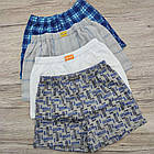 Труси-шорти трикотажні СИЛАЧ дитячі р.36 ассорті 30034790, фото 5