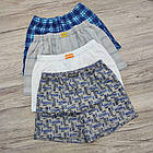 Труси-шорти трикотажні СИЛАЧ дитячі р.36 ассорті 30034790, фото 6