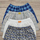 Труси-шорти трикотажні СИЛАЧ дитячі р.36 ассорті 30034790, фото 7