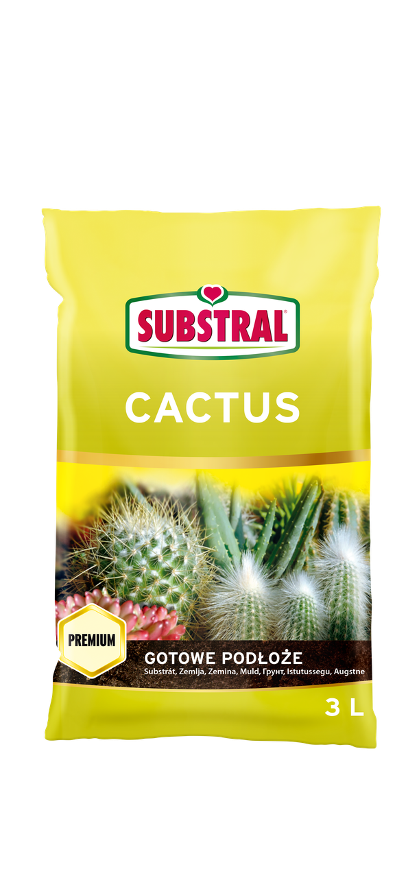 Готовий ґрунт для кактусів Substral 3 л