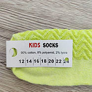 Шкарпетки дитячі високі літні з сіткою асорті р.24 Україна 30034938, фото 6