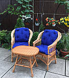 2 крісла "Звичайні" з синіми подушками і столик овальний "Звичайний", фото 3