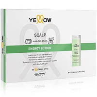 Лосьон от выпадения волос Yellow Scalp Energy Lotion 6х13 мл