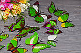 Об'ємні 3Д зелені метелики для декору інтер'єру, фото 3